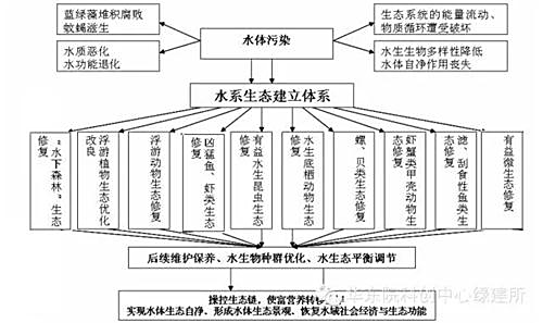 黑臭水体治理的“根本之道”——水体生态系统的重构