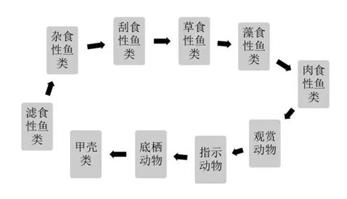 黑臭水体治理的“根本之道”——水体生态系统的重构