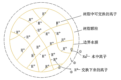 水处理课堂讲学二：离子交换树脂的特性及应用