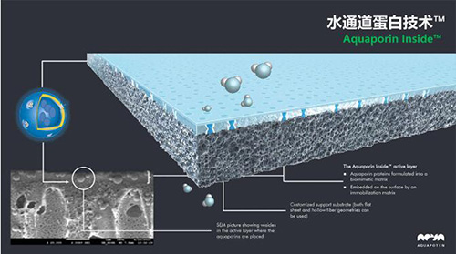 丹麦水通道蛋白膜进入NASA国际空间站开始第二阶段测试