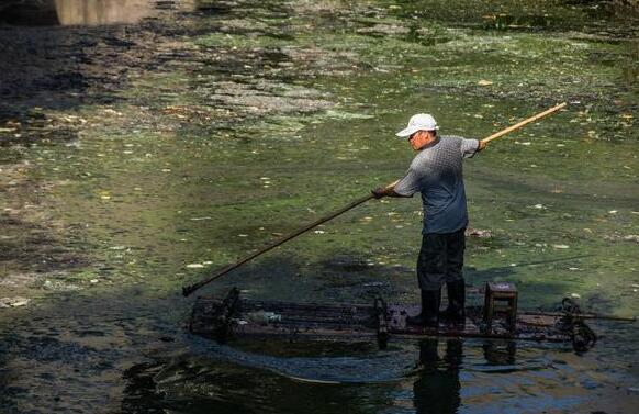 黑臭水体大量分布 打破技术壁垒成项目承接要素