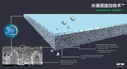 一个院士站就满足了？ NO！博天环境打造“创新者联盟”才是下一个小目标