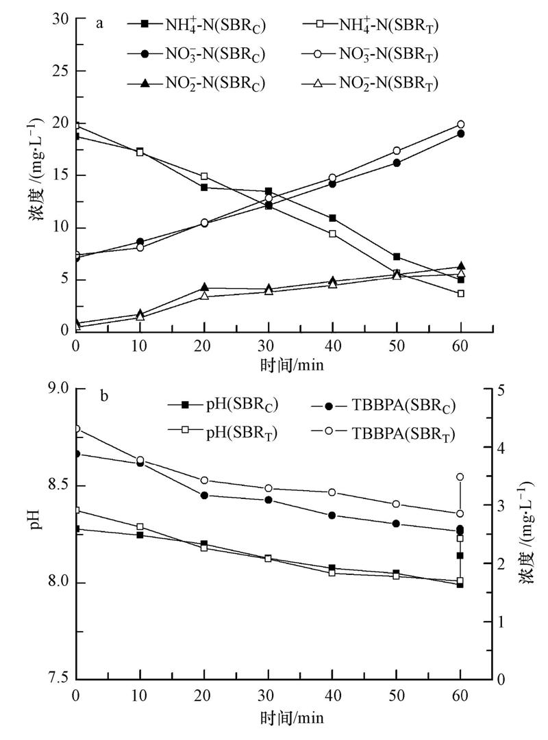 如何去除污水脱氮除磷工艺中的四溴双酚A