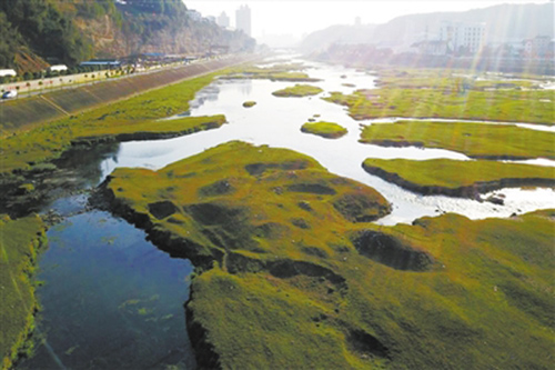 宜昌夷陵区启动黄柏河流域综合环境治理工程建设