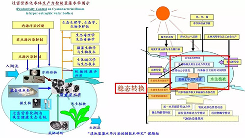 刘永定：水环境和流域污染治理与生态修复从滇池流域水环境治理谈起