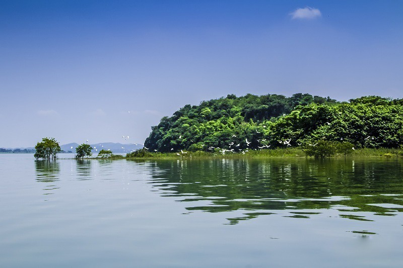 各方关注鄱阳湖水利枢纽工程