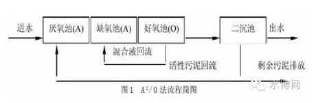 污水处理 | 全面解析生物脱氮除磷的处理工艺