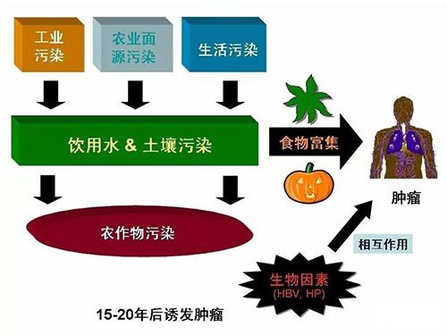 华北渗坑刷屏的背后：渗坑风险知多少？