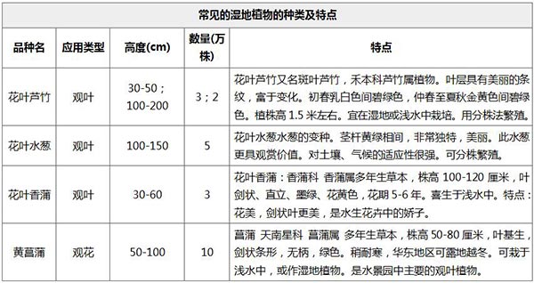 “淡水贮存库”生态湿地：维护水资源安全的治本之策