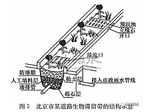 海绵城市建设与生物滞留设施应用问题分析