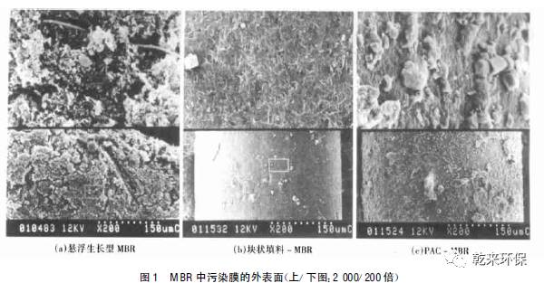 MBR在净水工艺中的膜污染特征及清洗