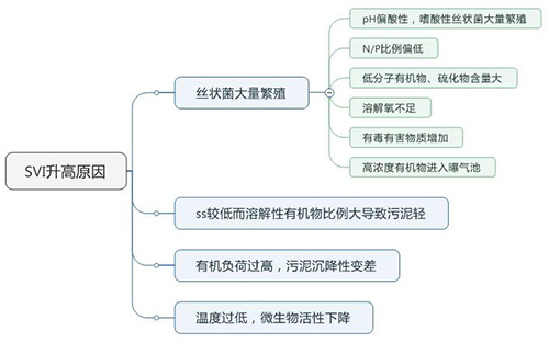 活性污泥的性能指标是什么？运行关注点是什么？