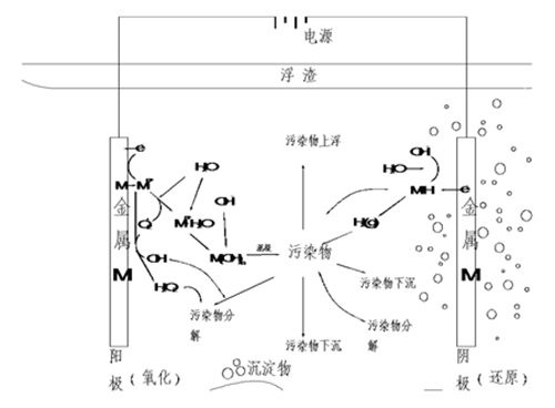 深耕环保 让水处理成为一种生产力