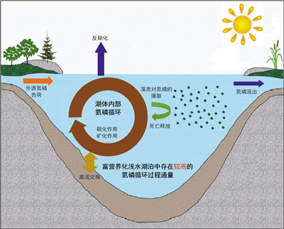 优化水资源配置 持续改善滇池水质