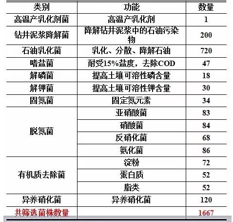 生物技术在难降解废水及污泥处理中的应用及展望