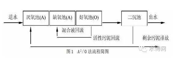 全面解析生物脱氮除磷的处理工艺