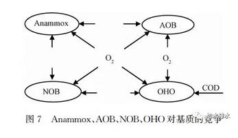 未来已来 污水处理工艺将去向何方？