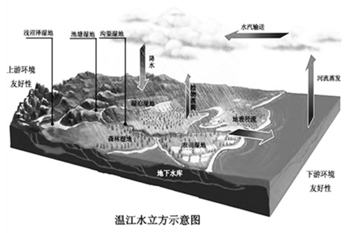 不要忽视小微水体的生态作用 探讨池塘生态链