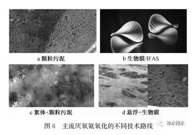 未来已来 污水处理工艺将去向何方？