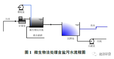 油田含盐污水达标处理试验研究