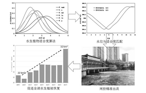 中科院水生所多项技术助力洱海水生态系统恢复