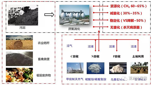 戴晓虎 ：污泥处理处置未来发展方向的思考