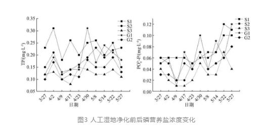 水源地人工湿地水质净化效果及其对浮游植物的影响