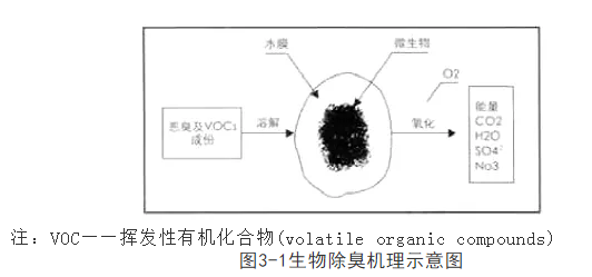 污泥堆肥项目中除臭技术的选择与设计