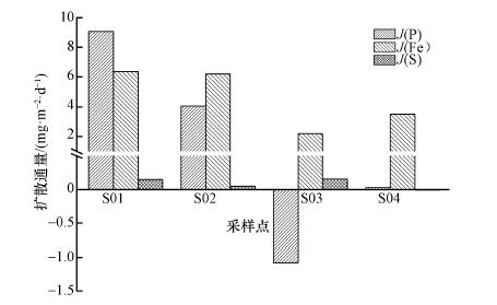 深思：探讨水体黑臭和内源磷污染发生机制