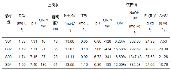 深思：探讨水体黑臭和内源磷污染发生机制