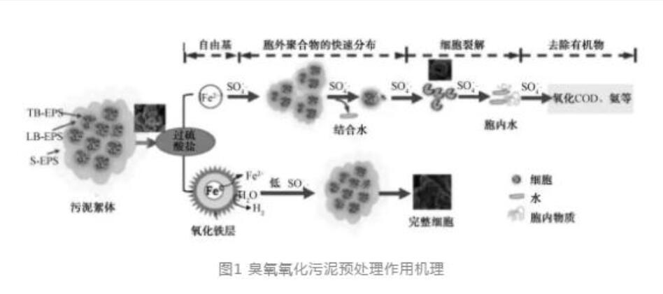 污泥脱水预处理技术综述