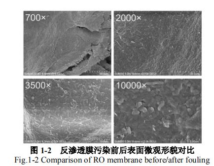 某电厂中水处理系统反渗透膜污染分析及清洗方法研究