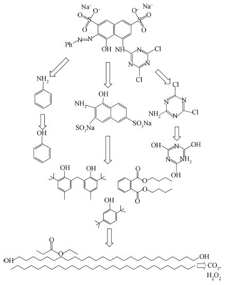 研究：用光合细菌复合材料降解印染废水