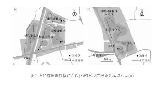 水源地人工湿地水质净化效果及其对浮游植物的影响