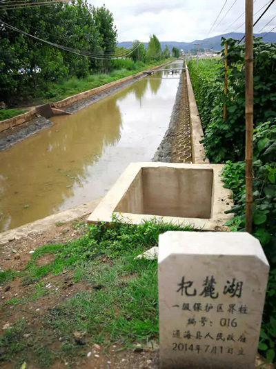 污水处理厂逾期七年未建成 云南杞麓湖生态环境受威胁