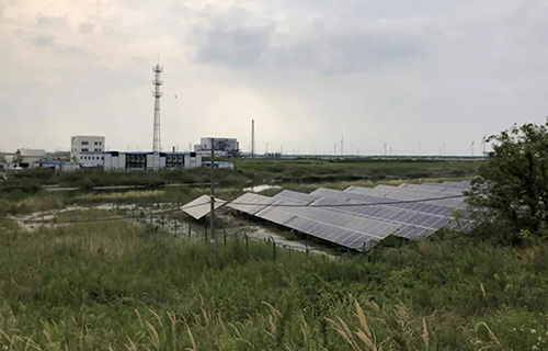 江苏海安违规撤销沿海防护林和滩涂县级保护区 实施开发建设