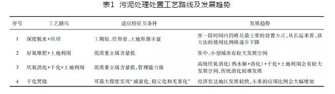 污泥协同焚烧技术发展的探讨与行业思考