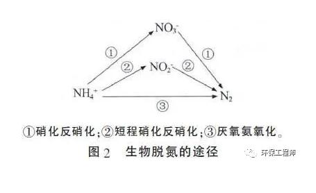 高低浓度氨氮废水处理工艺的对比！