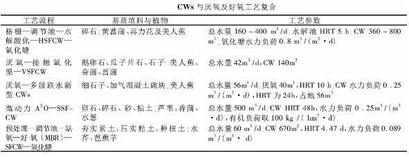 人工湿地如何应用于我国分散污水的处理