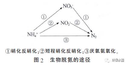 高浓度氨氮废水以及低浓度氨氮废水处理工艺对比