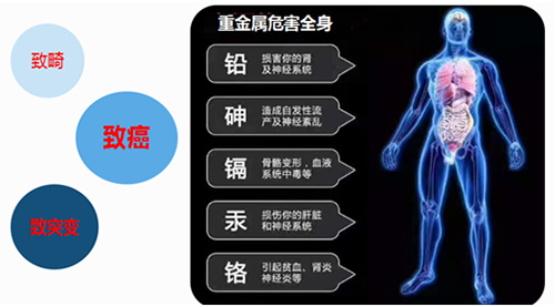 总在说水污染 到底我们的饮用水中有哪些污染物？