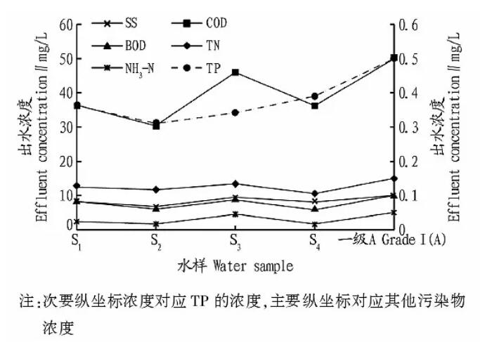 MBBR-离子交换除磷工艺在农村生活污水处理中的应用分析