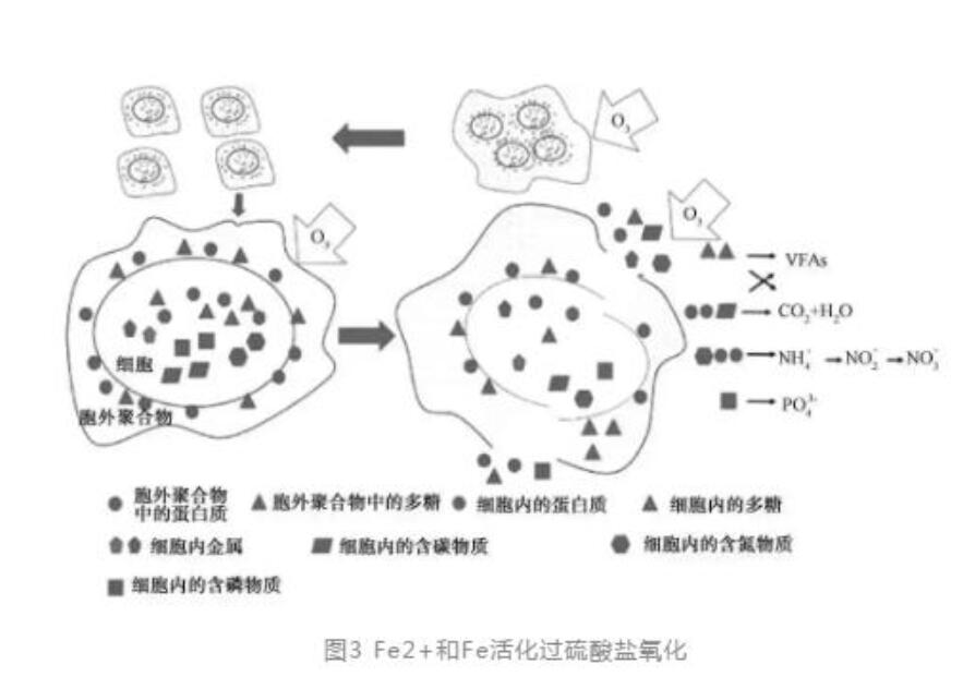 污泥脱水预处理技术综述