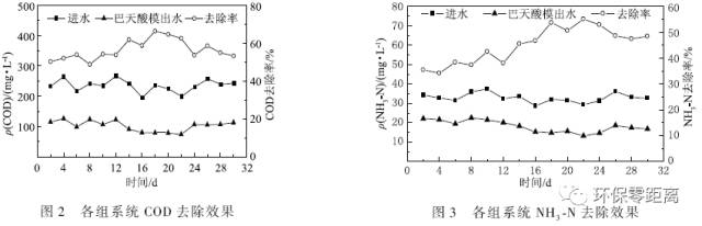 研究：生活污水植物净化系统