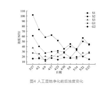 水源地人工湿地水质净化效果及其对浮游植物的影响