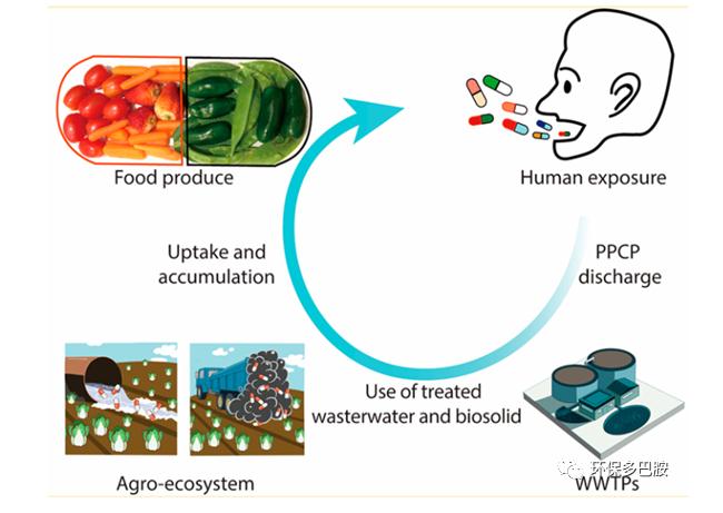 PPCPs：污泥难入地 只怪人们爱美丽？