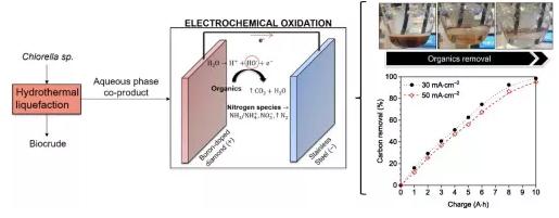 科学家通过电化学氧化方法来净化制造生物燃料时产生的废水