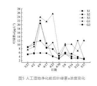 水源地人工湿地水质净化效果及其对浮游植物的影响