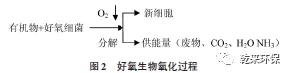 食品工业废水处理工艺及节能探究