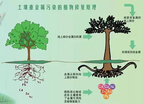 15种常见土壤地下水修复技术大盘点